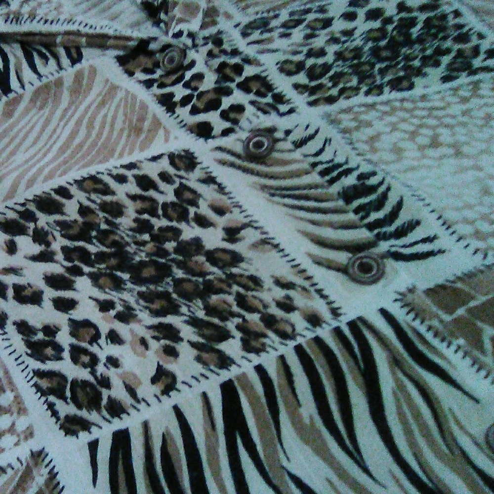Clothes - Picture 2 of 5